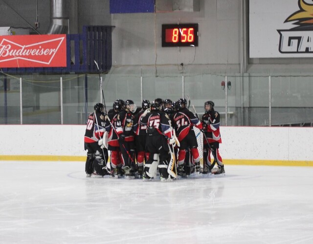 Hockey des Gaulois: Deux victoires convaincantes pour l'équipe de développement