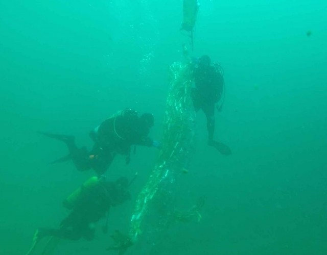 Une salamandre géante au site de plongée Flintkote