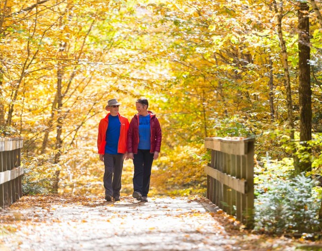 Parc national de Frontenac : Les couleurs à l'honneur pour l'Action de grâce