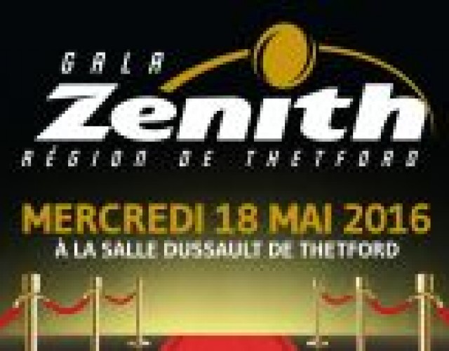 9e édition du Gala Zénith : Qui sont les finalistes ?