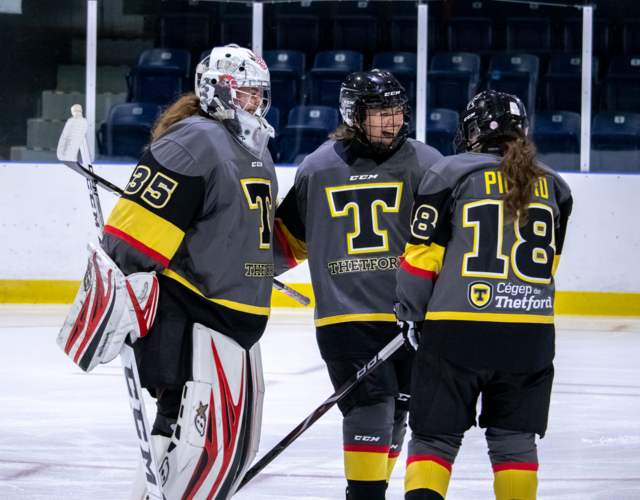 Cégep de Thetford: Des nouvelles de vos Filons hockey