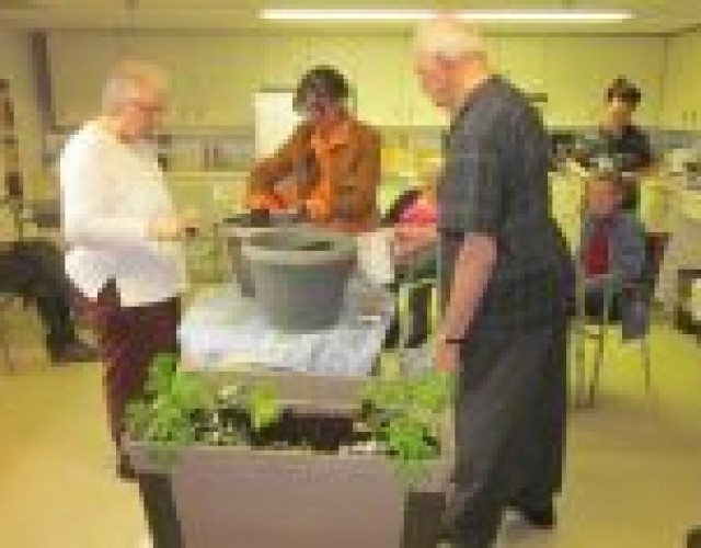 Des bacs de légumes et fines herbes dans les HLM de la région de Thetford