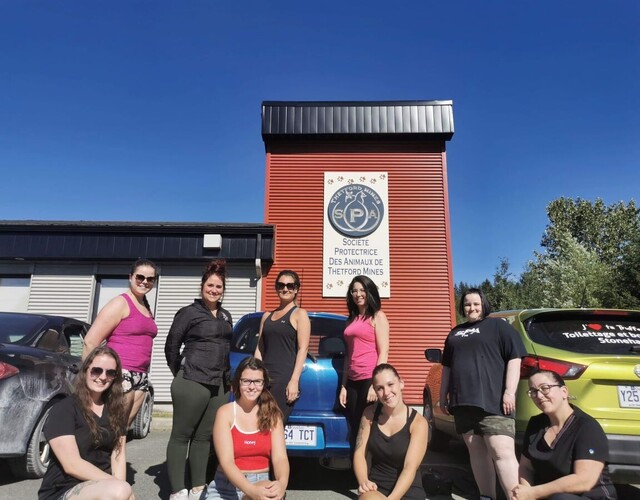 Le Tremplin met la main à la « patte » pour le lavothon de la SPA