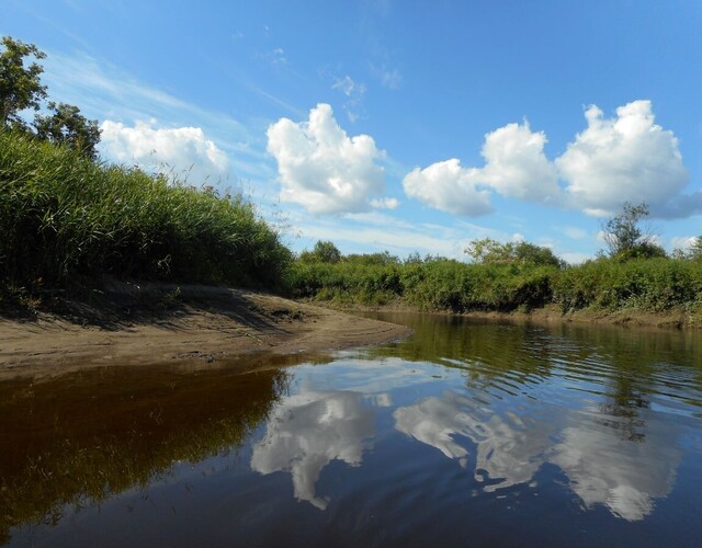 MRC des Appalaches: Appel de candidatures Comité consultatif en environnement (CCE)