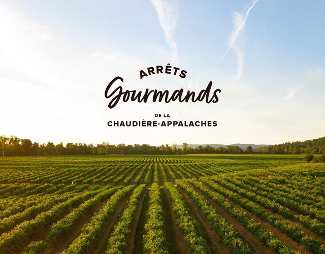 Les Arrêts Gourmands de la Chaudière-Appalaches 2021: Venez nous voir dans la MRC des Appalaches