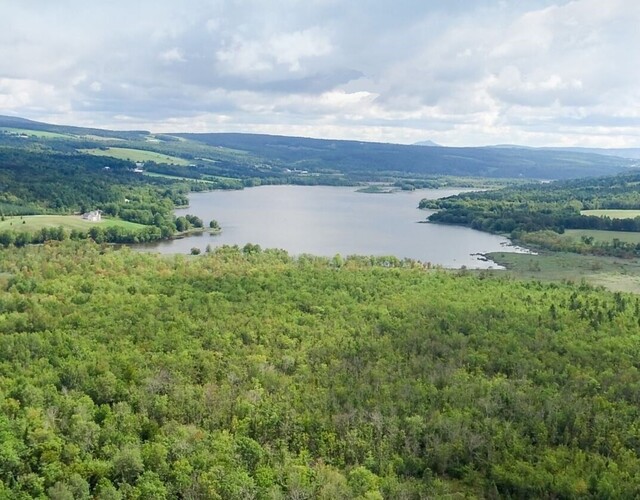 Bassin versant du lac à la Truite: 82% des bandes riveraines conformes