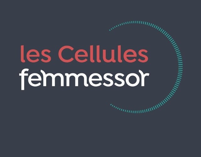 Intéressée par le codéveloppement? Les Cellules Femmessor recrutent !