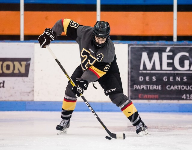 Hockey : Les Filons se préparent pour les séries