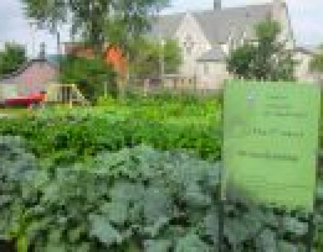 La Fête des voisins souligne l'ouverture du Jardin collectif au centre-ville