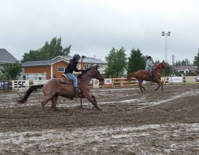 Des chevaux débarquent en ville pour une 3e édition