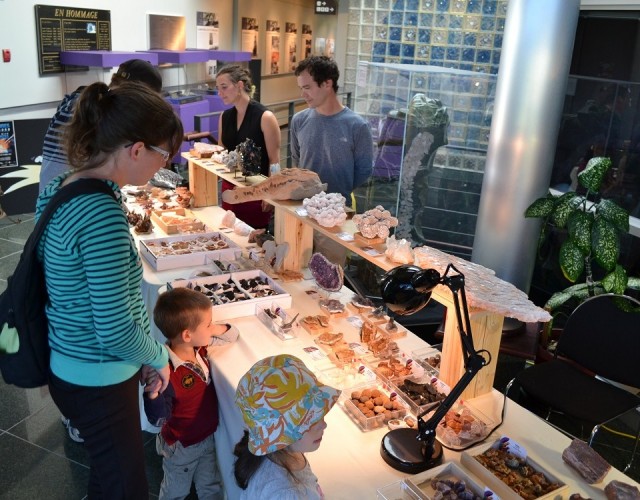 La Foire minéralogique du Musée