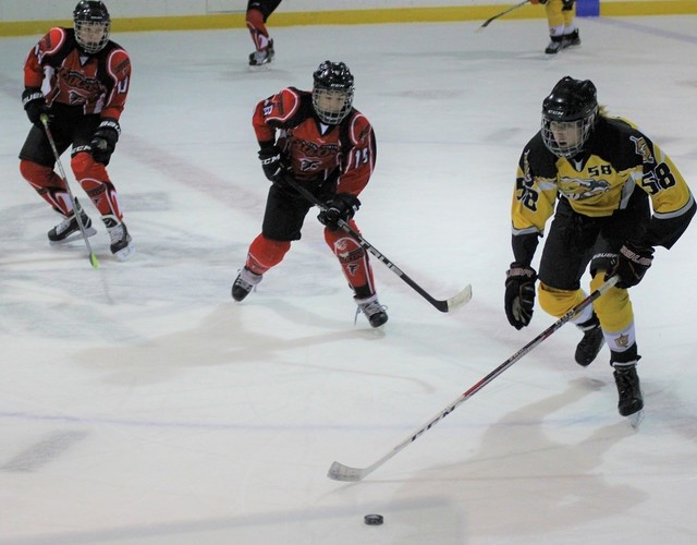 Hockey scolaire : Les Gaulois Juvénile «B» toujours invaincus