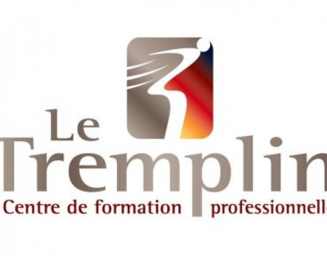 Belle représentation du CFP Le Tremplin aux Olympiades de la formation professionnelle 