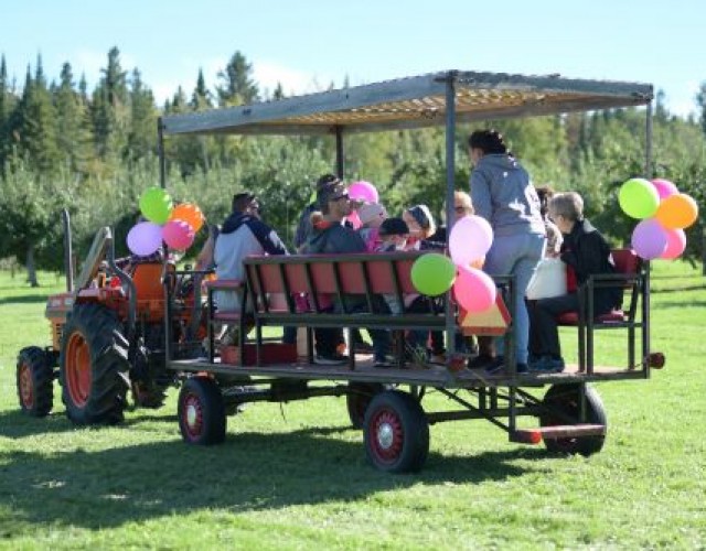 Énorme succès pour La Route des Vergers en fête !